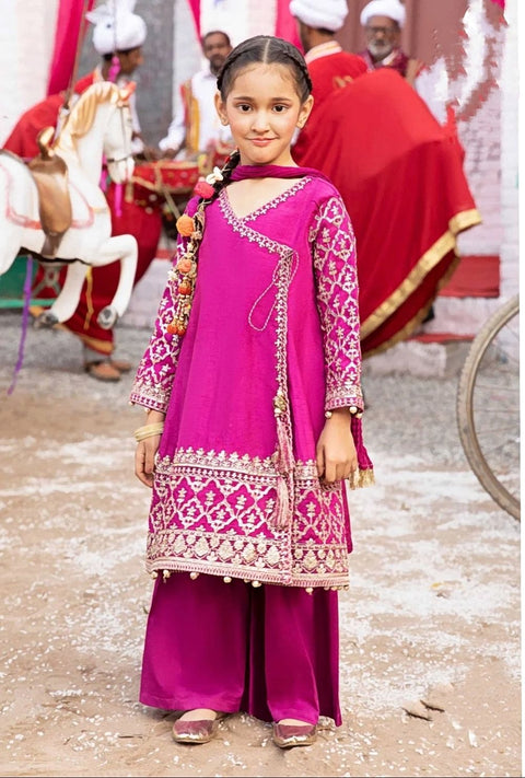 MB Anarkali Rawsilk Pink